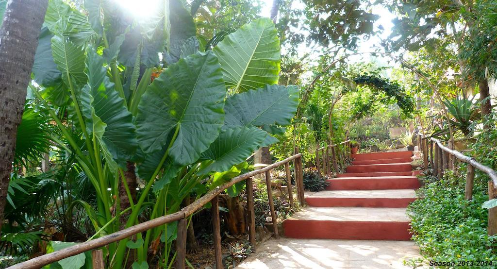 Patnem Beach Secret Garden Resort المظهر الخارجي الصورة
